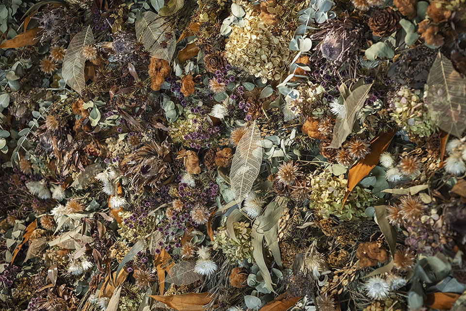 DIO CLINIC 横浜院 - 画像8