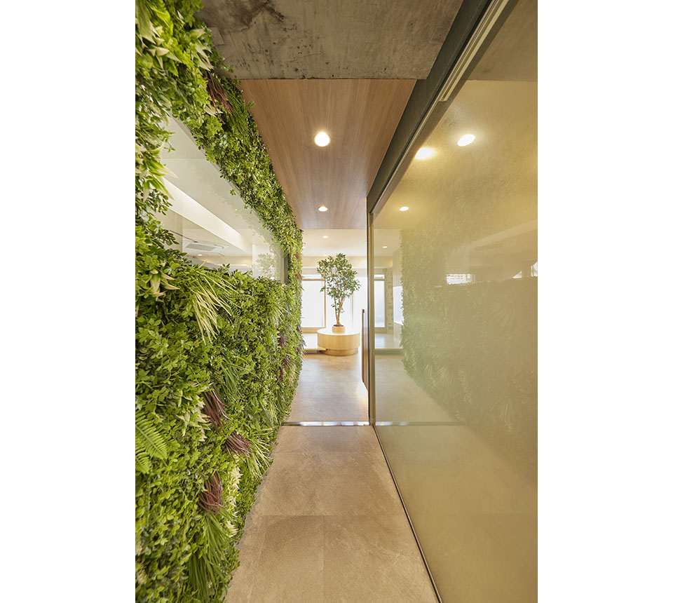 ちとせ矯正歯科戸田 - 画像5